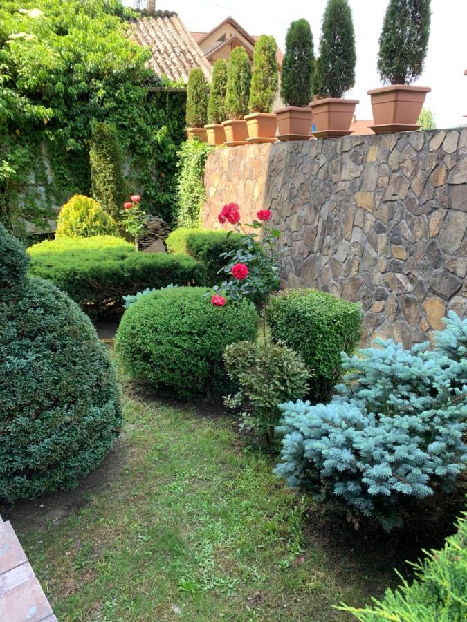 소바타 Pensiunea Eva B&B 외부 사진