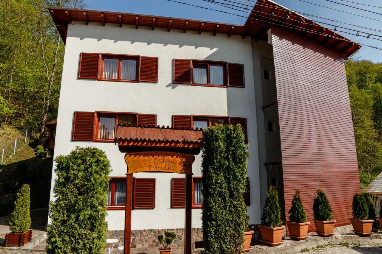 소바타 Pensiunea Eva B&B 외부 사진